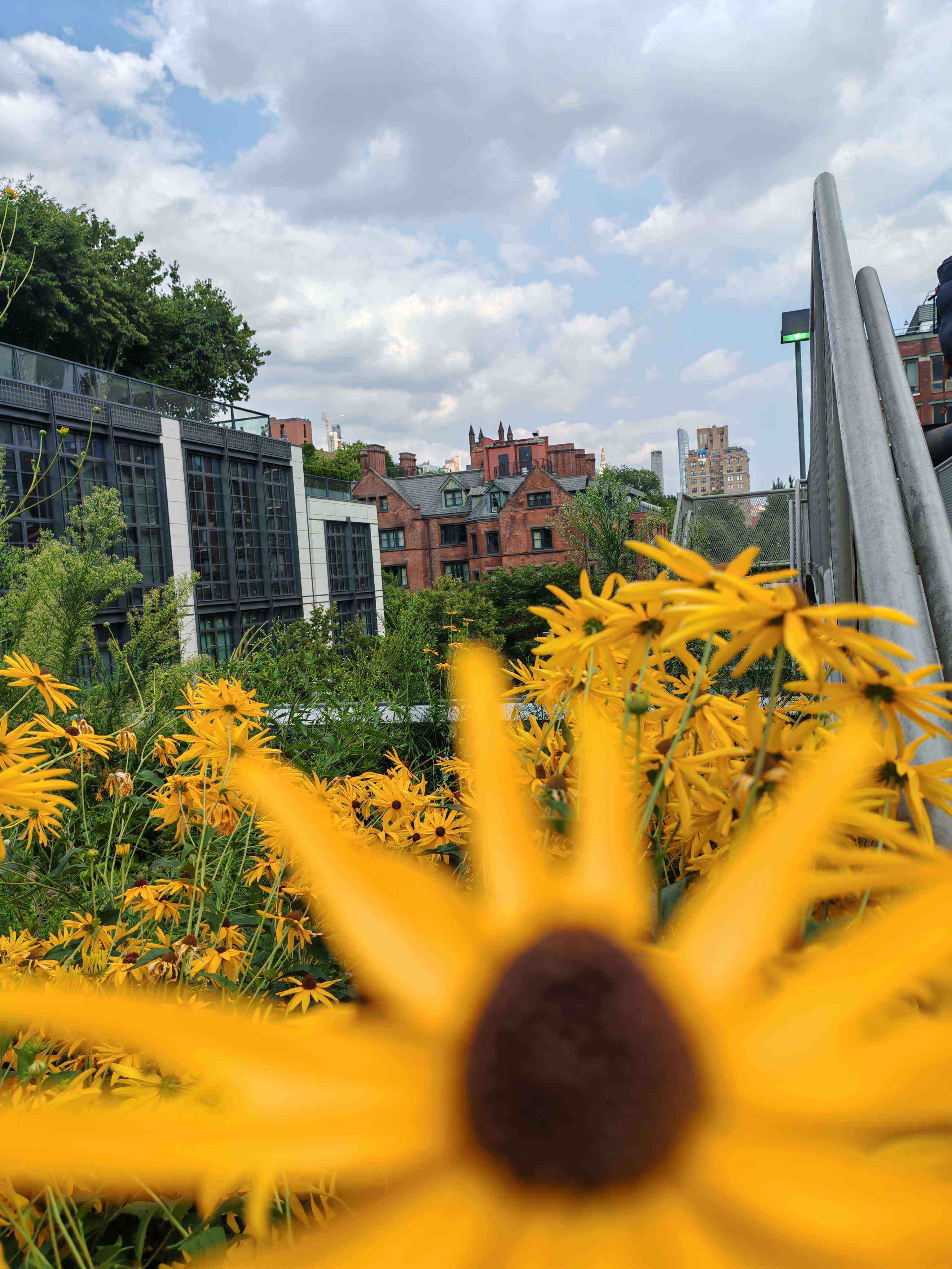 Collage of clinicians