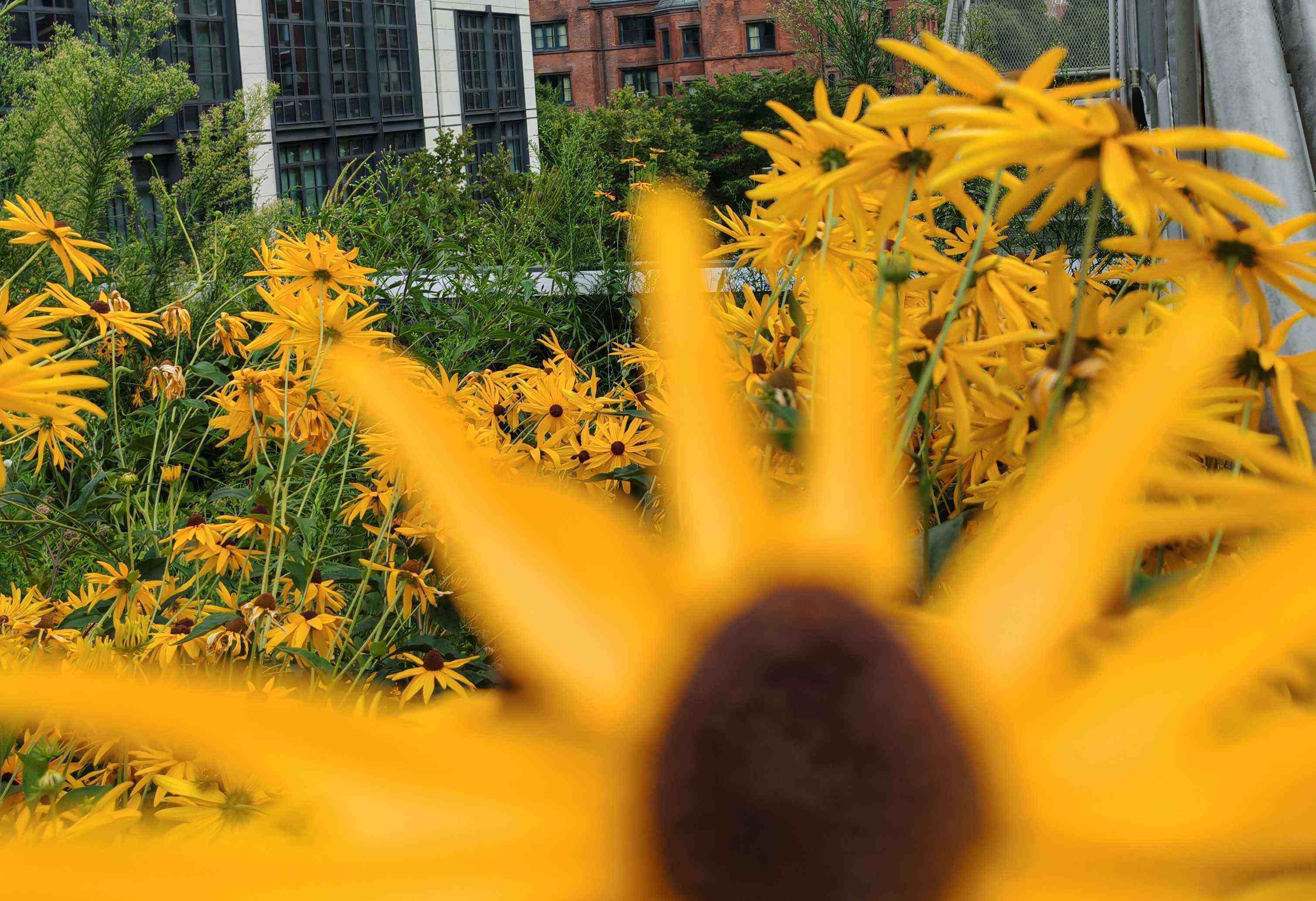 Woman in library on tablet