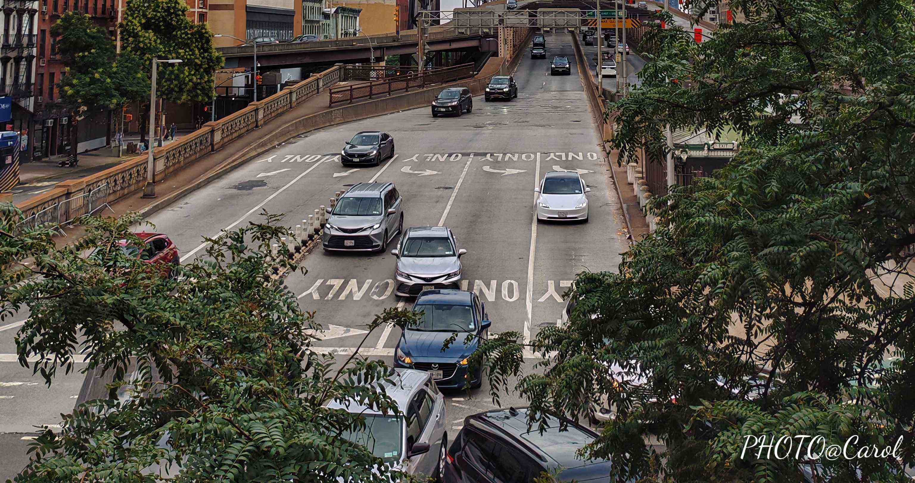 Collage of librarians