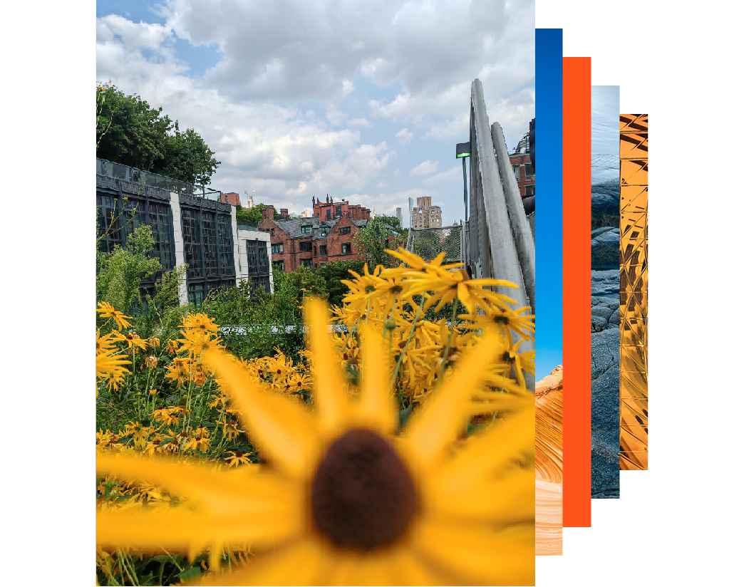 A woman peers intently through a microscope in a laboratory setting.